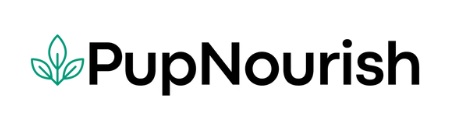 logo NN